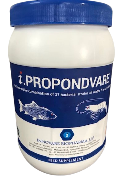 i.PROPONDVARE