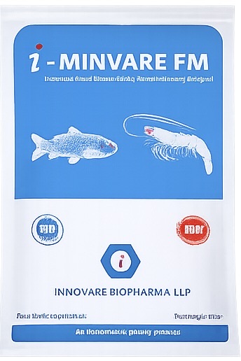 i.MINVARE FM
